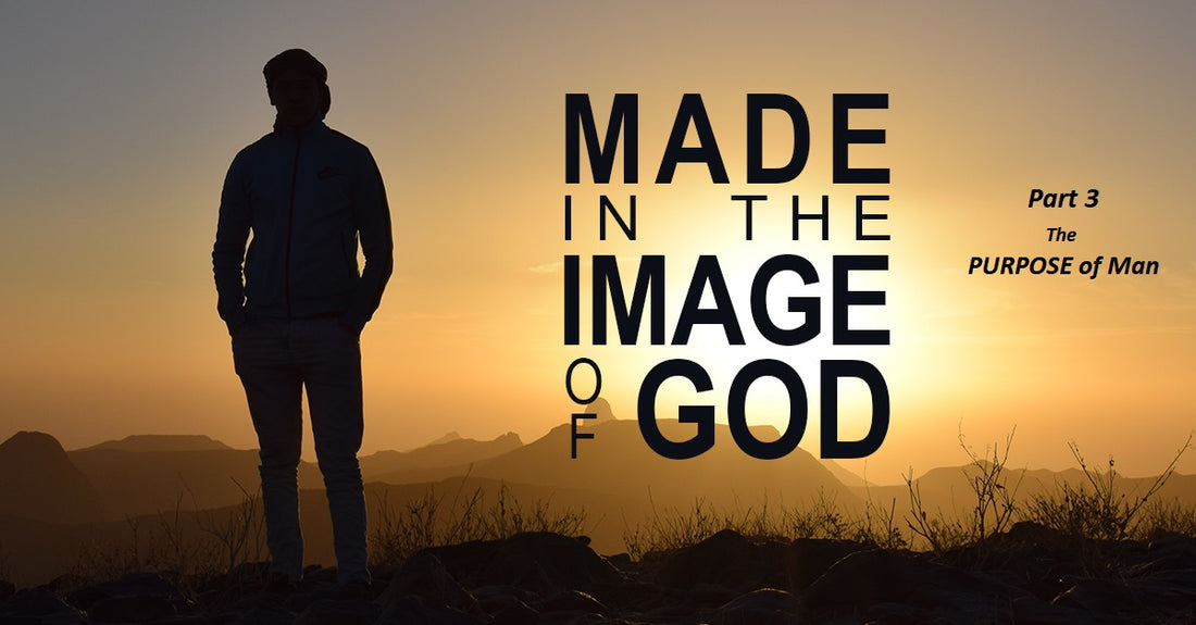 Made in God’s Image, Part 3- The PURPOSE of Man