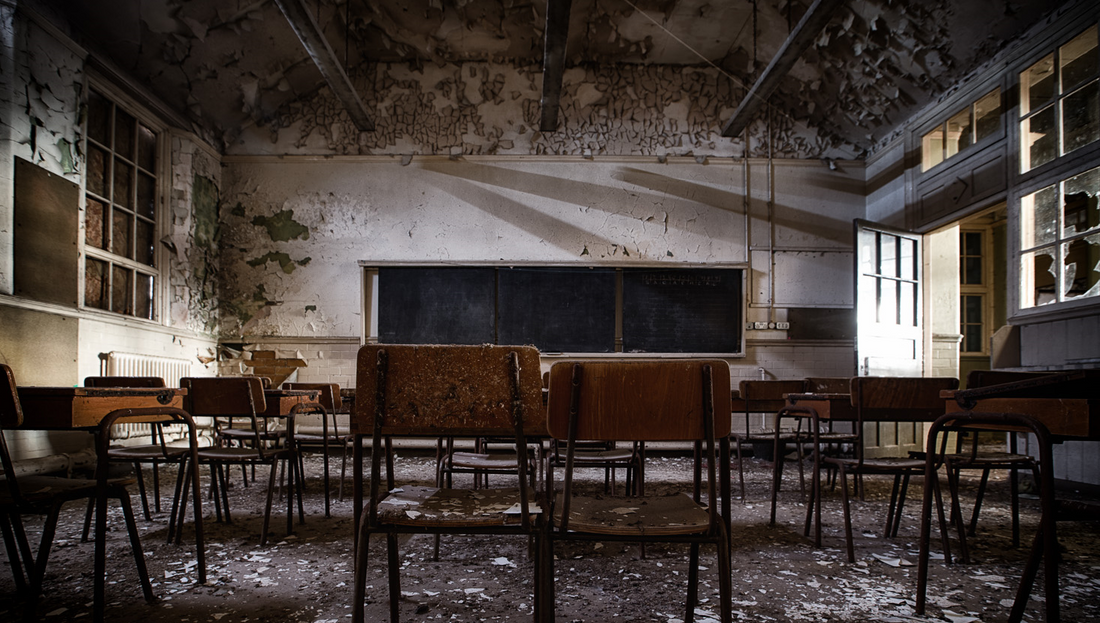 Brave (Illiterate) New World