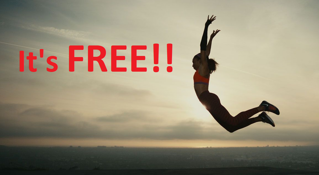 FREE from Greater Than I Ministries Biblical Worldview Resources!